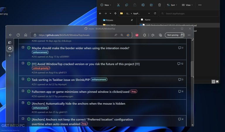 WindowTop Pro 2026 Getintopc